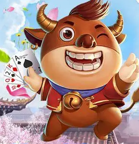 十三张扑克牌软件免费