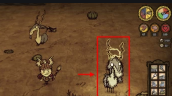 饥荒联机版 远古犀牛该怎么寻找