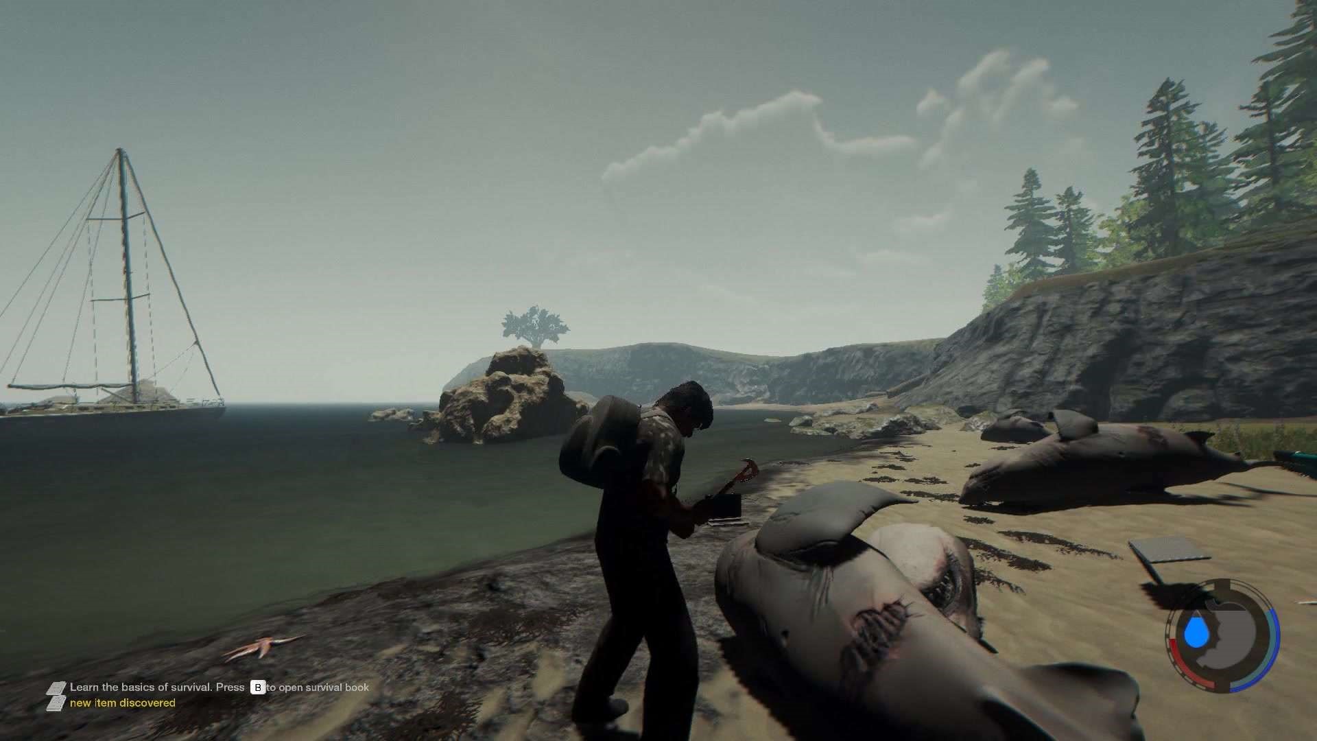 狮子王 森林里面的小狮子的冒险经历世嘉的经典