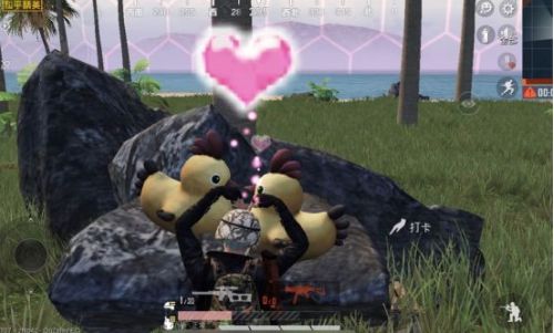 和平精英  SLR使用介绍