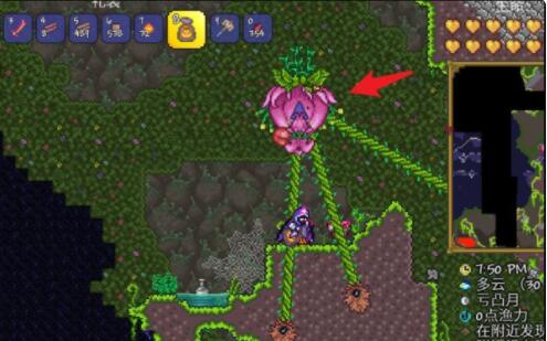 泰拉瑞亚 空岛探索技巧