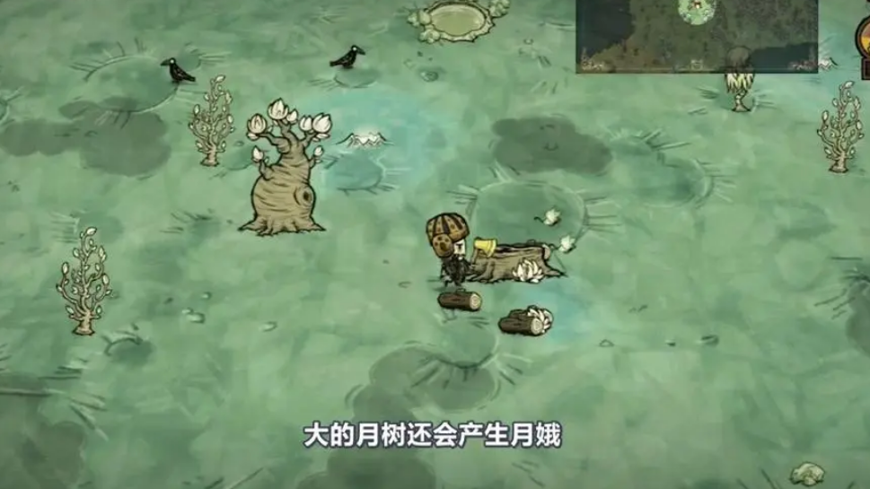 饥荒猪镇 中毒物品以及解毒技巧