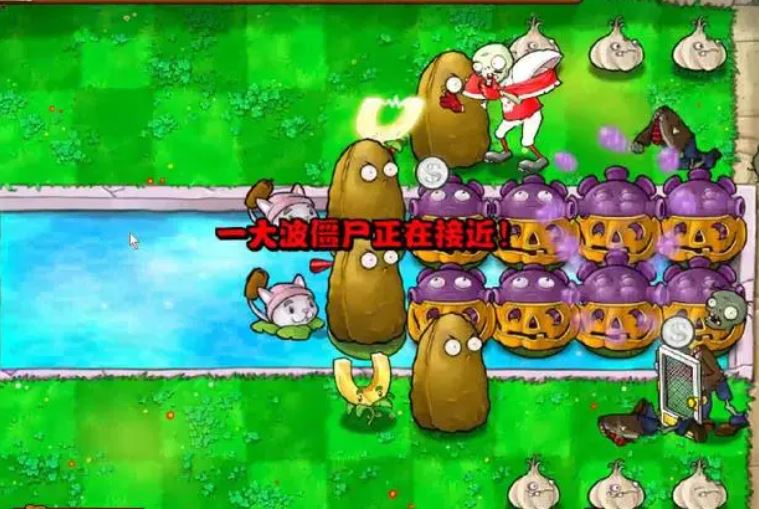 植物大战僵尸2  机枪石榴解析