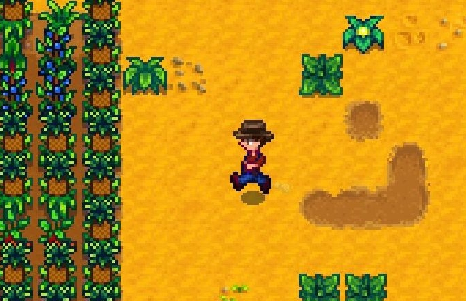 星露谷物语 任务系统攻略大全