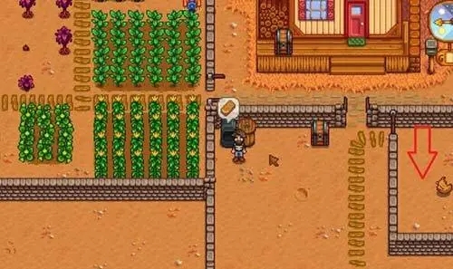 星露谷物语 农作物周期与浇水