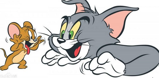 猫和老鼠手游鸡汤篇攻略,猫和老鼠：生存与策略的哲学